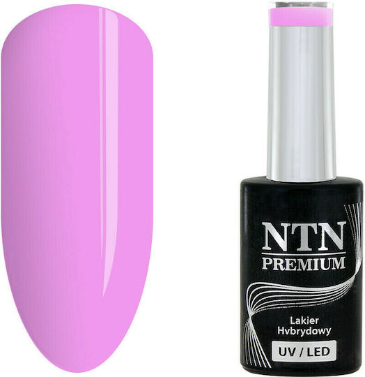 NTN Premium Semipermanent Lac de Unghii 175 5ml 1buc