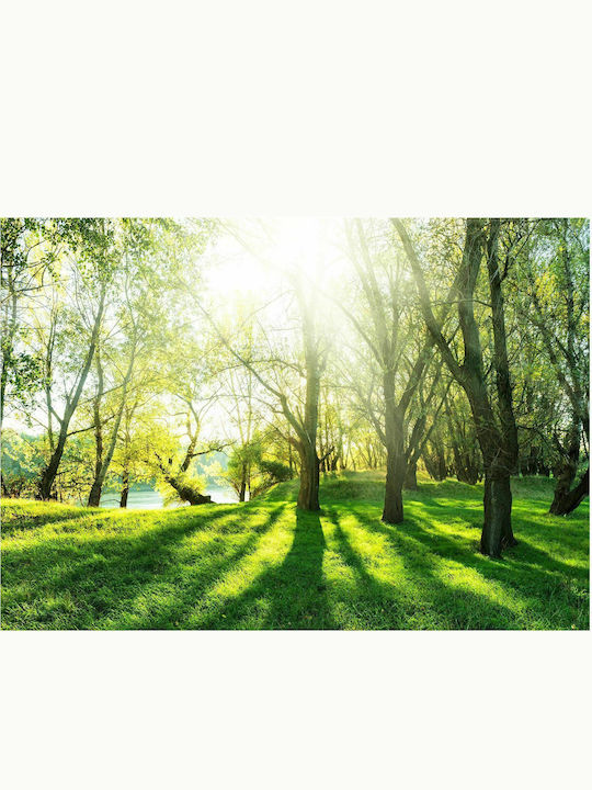 Self-adhesive Wall Mural Sunny May Day 245x175cm