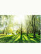 Autocolantă Fototapet de Perete 392x280cm Sunny May Day