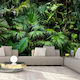 Fototapet de Perete 200x140cm Sunny Jungle Tesatura