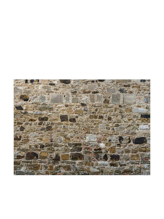 Autocolantă Fototapet de Perete 245x175cm Stone Fence Bej