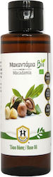 Herbstore Macadamia BIO Macadamia Oil for Massage 100ml