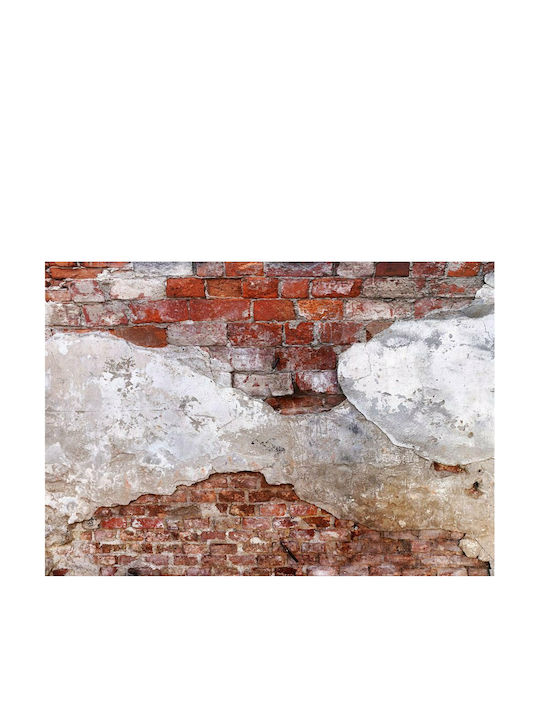 Self-adhesive Wall Mural Spirits of the Past 294x210cm