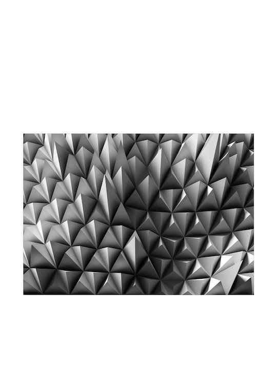 Self-adhesive Wall Mural Spiky Identity 196x140cm