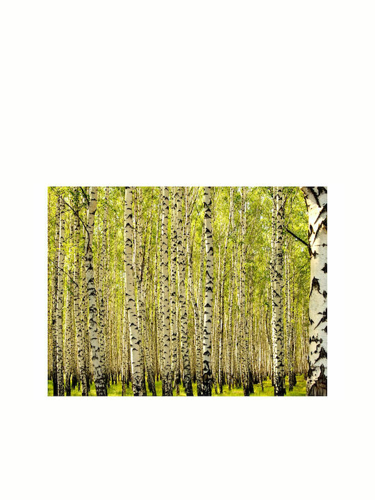 Wall Mural Birch forest Fabric 400x309cm