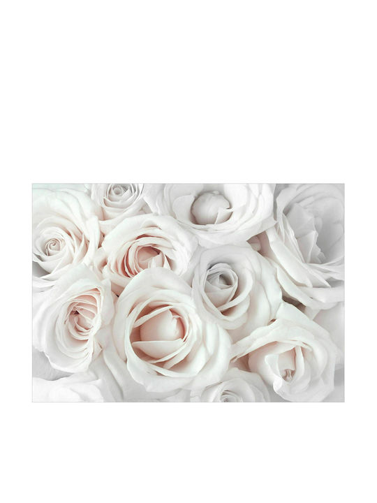 Self-adhesive Wall Mural Satin Rose (Pink) Pink 245x175cm