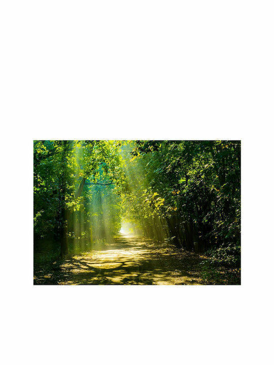 Fototapet de Perete 100x70cm Road in Sunlight Tesatura