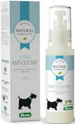 Derbe Deodorant 200ml