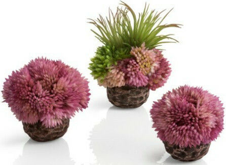 Oase biOrb Coral Ball Decorațiune Plantă artificială Acvariu