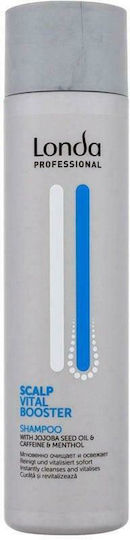Londa Professional Scalp Vital Booster Shampoos gegen Haarausfall für Alle Haartypen 250ml