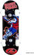 Athlopaidia Complete Shortboard 5.11" Multicolour