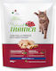 Trainer Dry Food Gluten-Free for Adult Sterilized Cats with Sensitive Urinary with Chicken 0.3kg