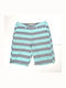 Dewitt Macro Men's Shorts Grey/Turquoise