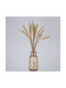 GloboStar Decorative Vase Layla Orange 11x11x22cm