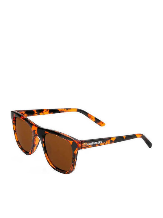 Northweek X Harvey Tortoise Sunglasses Brown with Acetate Frame & Brown Lens