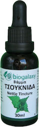Biogalaxy Βάμμα Τσουκνίδα Urzică 30ml