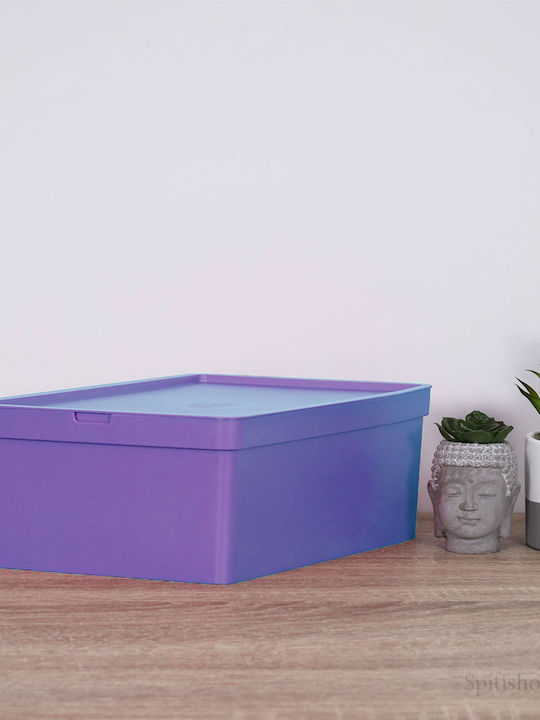 Viomes Nova Plastic Storage box with Cap Purple...