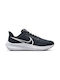 Air Zoom Pegasus 39 Sport Shoes Running Black / Dark Smoke Grey / White