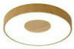 Mantra Coin Ceiling Light 38cm LED with Remote Control