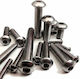 Allen Screw Inox DIN 7380 with Diameter M6 and Length 35mm