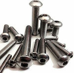 Allen Screw Inox DIN 7380 with Diameter M5 and Length 30mm