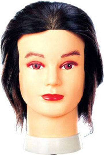 Dafnis Lernpuppe
