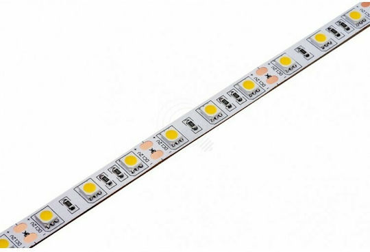 Jager Ταινία LED 12V RGB Φως 5m