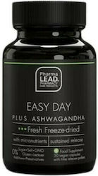 Pharmalead Easy Day Plus Ashwagandha 30 veg. Kappen