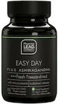 Pharmalead Easy Day Plus Ashwagandha 30 φυτικές κάψουλες