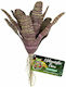 Zoomed Naturalistic Flora Chestnut Bromeliad Accessory for Reptiles Terrarium