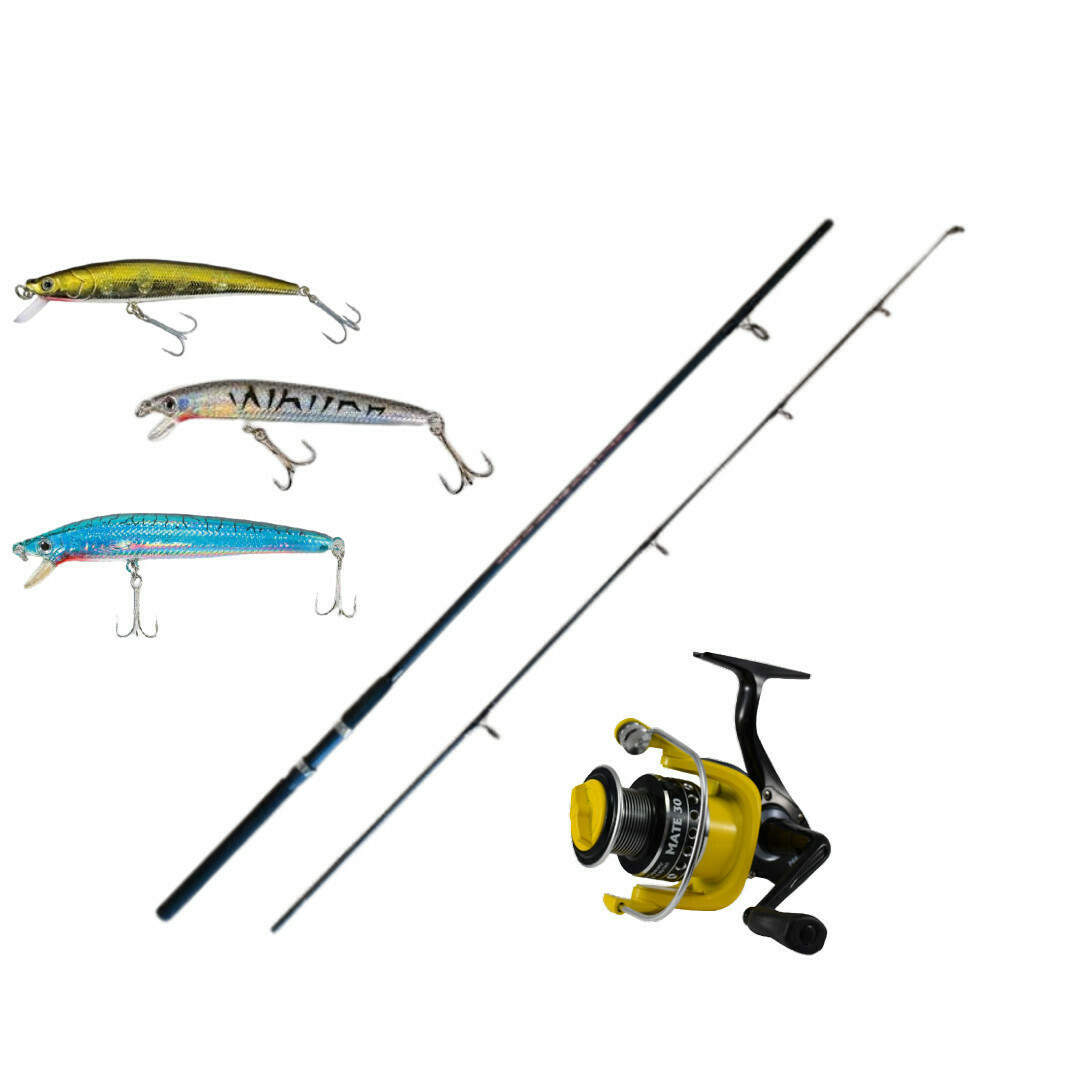 Sim Engineering Crown Condor Fishing Rod for Spinning with Reel Sim Engineering Crown Condor Fishing Rod for Spinning with Reel