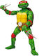 The Loyal Subjects Teenage Mutant Ninja Turtles...