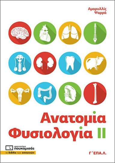 Ανατομία - Φυσιολογία ΙΙ Ανατομία - Φυσιολογία ΙΙ