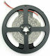 Avide Ταινία LED 12V Φυσικό Λευκό Φως 30m Τύπου SMD2835