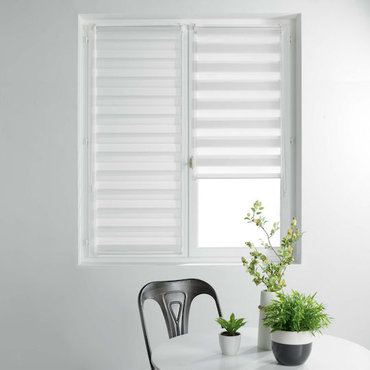 Rollos L-C DayNight Partieller Blackout Doppelt Blanc B90xH180cm 1950024