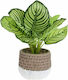 Aria Trade Artificial Plant in Small Pot 28cm 1pcs