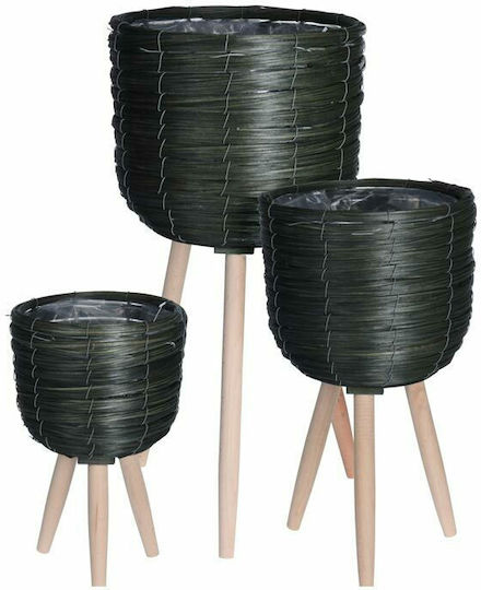 Plant Pot Wooden Green