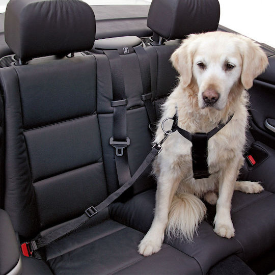 Kerbl Seatbelt Car for Dog Dog and Cat Chest Harness 50-70cm. Black