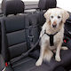 Kerbl Seatbelt Car for Dog Dog and Cat Chest Harness 30-60cm.