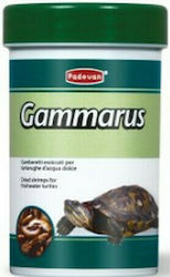 Padovan Gammarus Padovan Gammarus