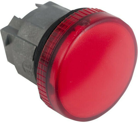 Schneider Electric Buton Tip industrial ZB4BV04