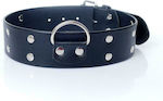 Collar Collar With Studs 4cm Vegan Leather in Black Color