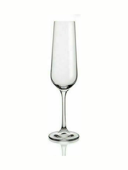 NAOMI CHAMPAGNE GLASS