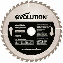 Evolution GW255TCT-40 Slicer/Coarse Grater Disc Wood 255mm 1pcs