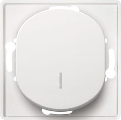 Aling Conel E6191.0 Wall Switch