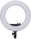 Nanlite NL-HL18 Ringlicht 46cm 2700 - 6500K mit Handyhalter