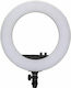 Nanlite NL-HL18 Ring Light 45.6cm 2700 - 6500K with Mobile Phone Holder