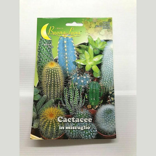 Primasem Seeds Cactus