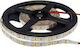 Optonica LED Strip 12V Cold White Light 1m Type SMD4014