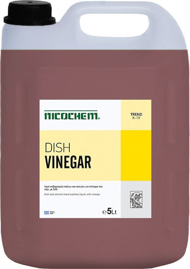 Nicochem Dish Ξύδι Επαγγελματικό 5lt